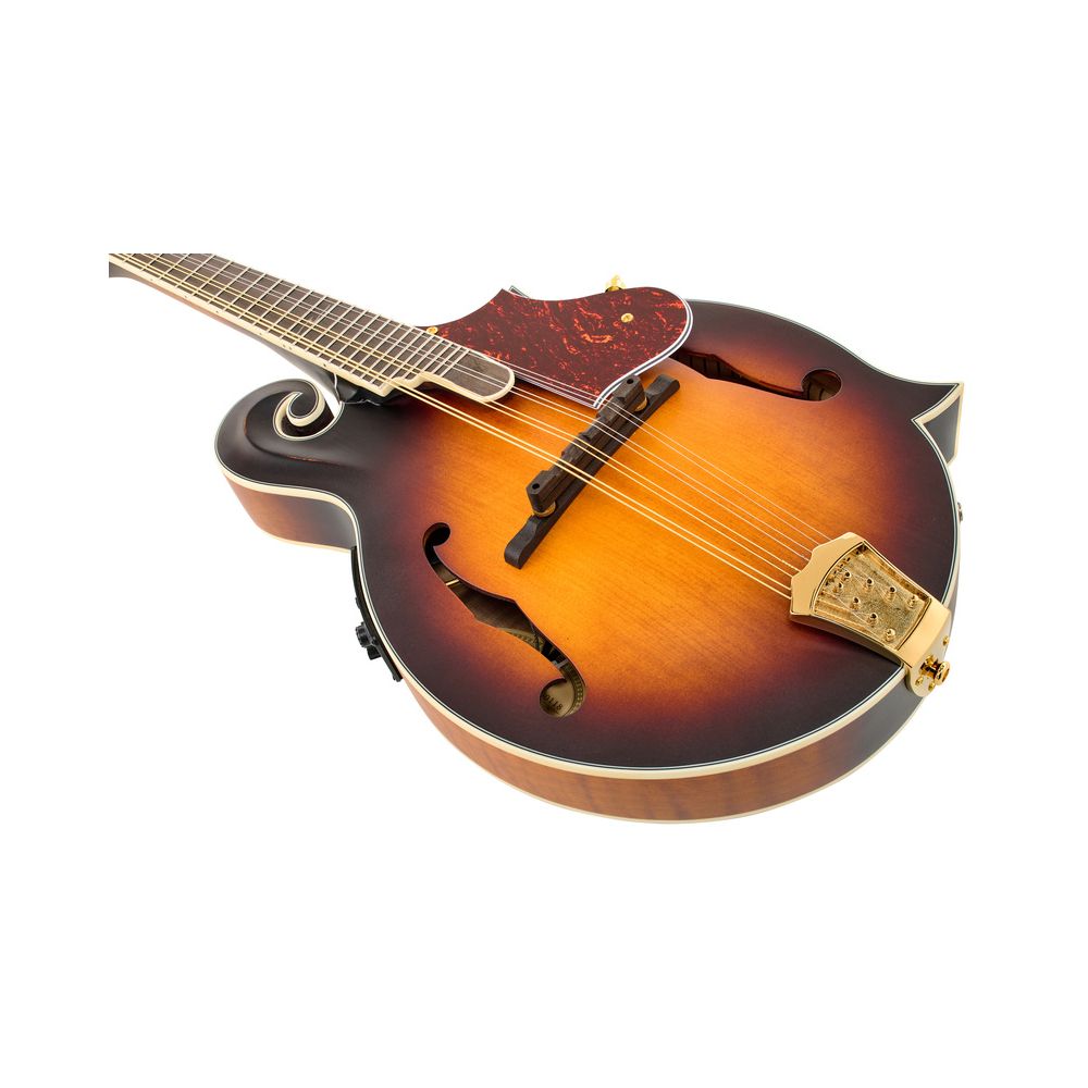 Ortega RMFE100AVO – Thomann Ireland