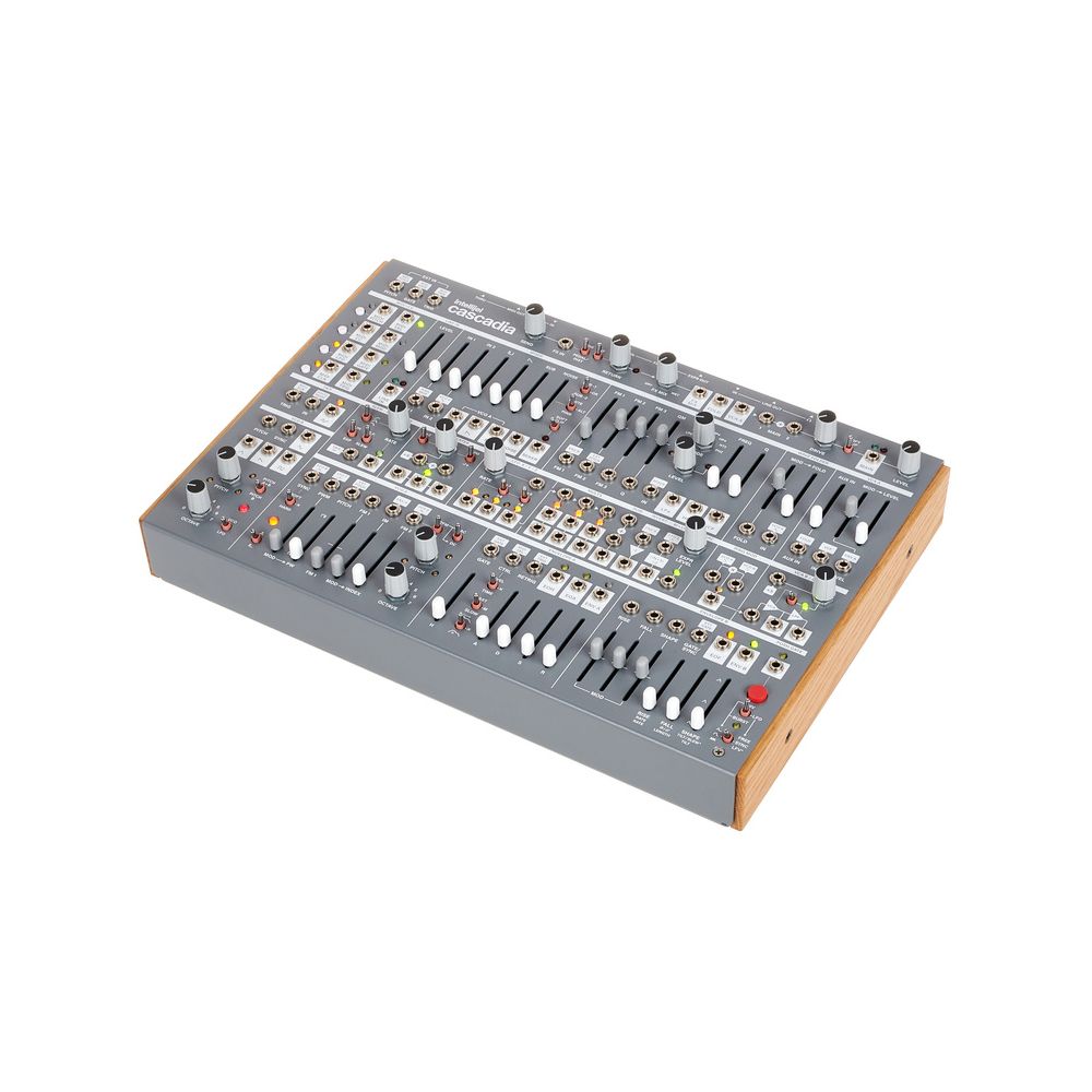 Intellijel Designs Cascadia – Thomann Ireland