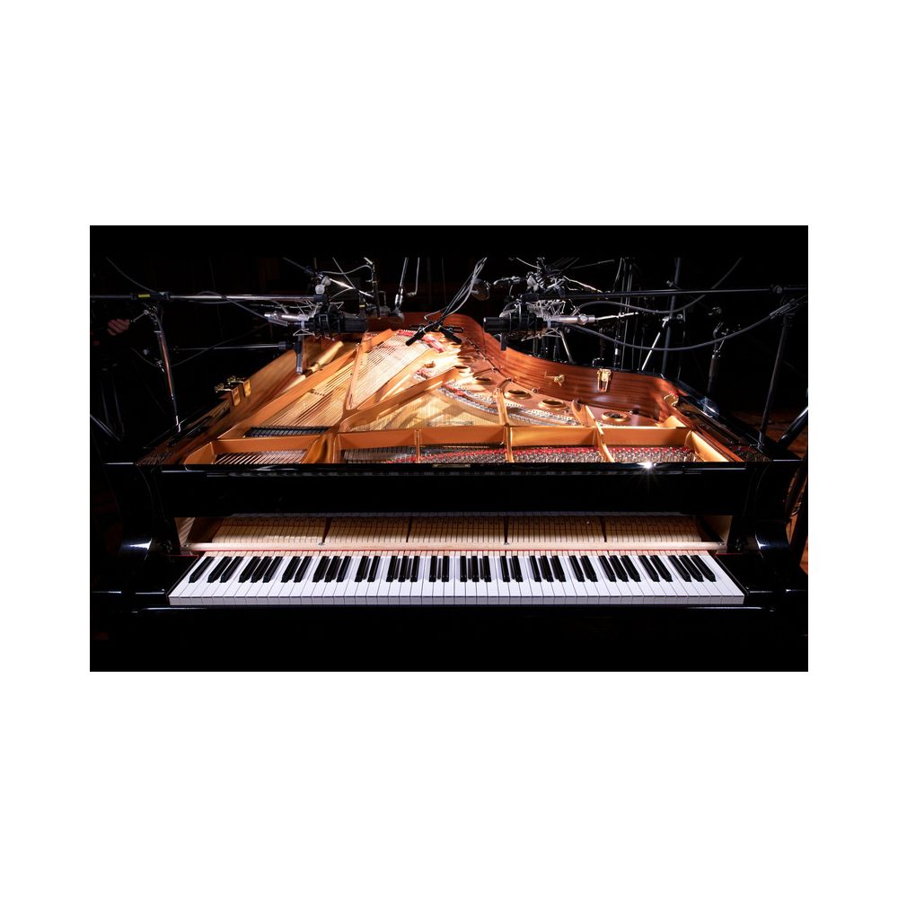 Native Instruments Noire – Thomann Ireland