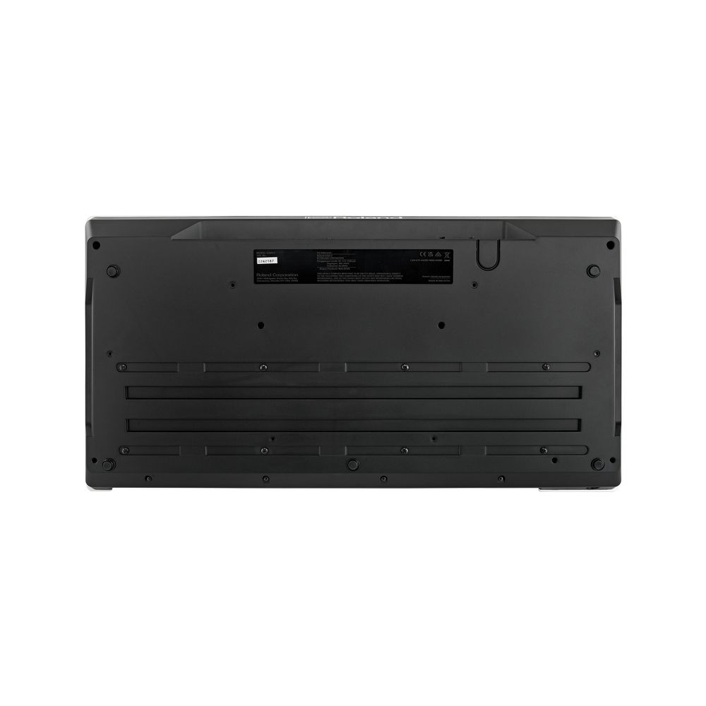 Roland GAIA 2 – Thomann Ireland