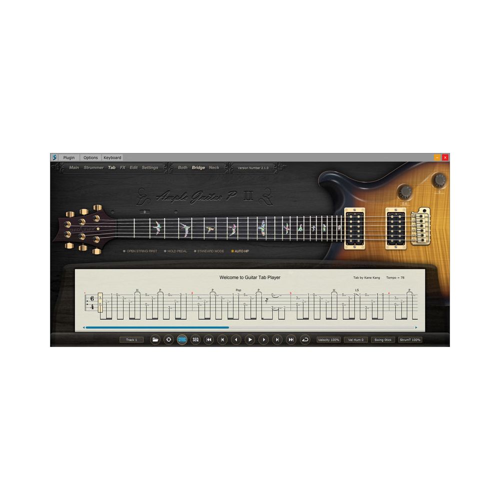 Ample Sound Ample Guitar PF III – Thomann Ireland