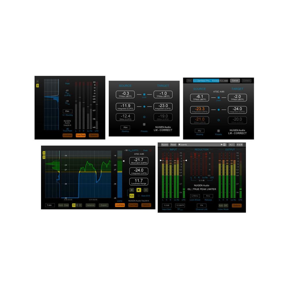 Nugen Audio Loudness Toolkit 2 – Thomann Ireland