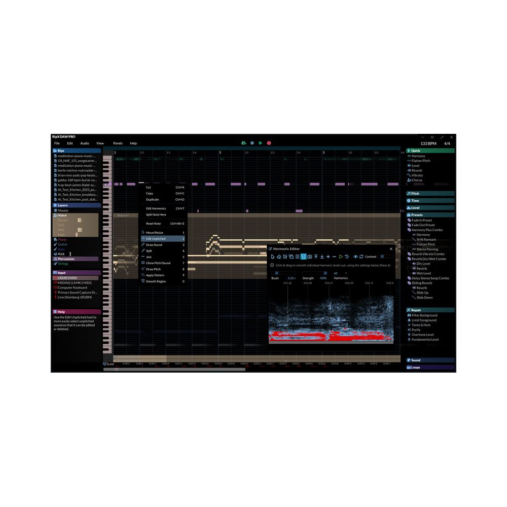 Hit'n'Mix RipX DAW Pro – Thomann Ireland