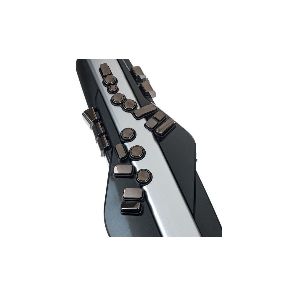 Roland Aerophone Pro AE