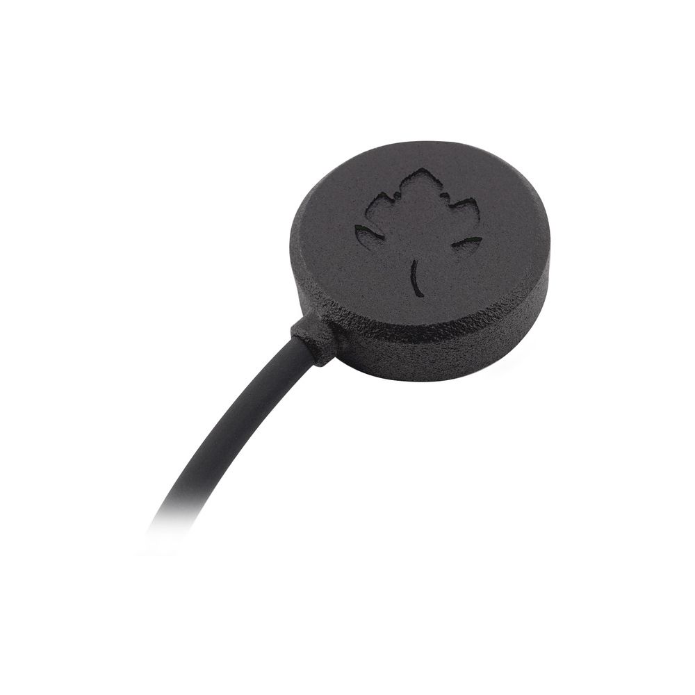 Leaf Audio Contact Microphone 2.0m/3.5mm – Thomann Ireland
