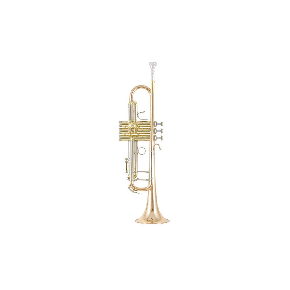 B&S 3137 G