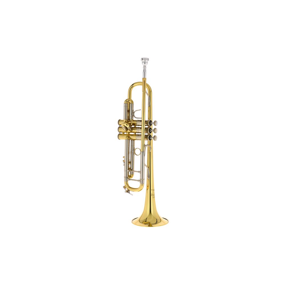Bach 19043 Bb