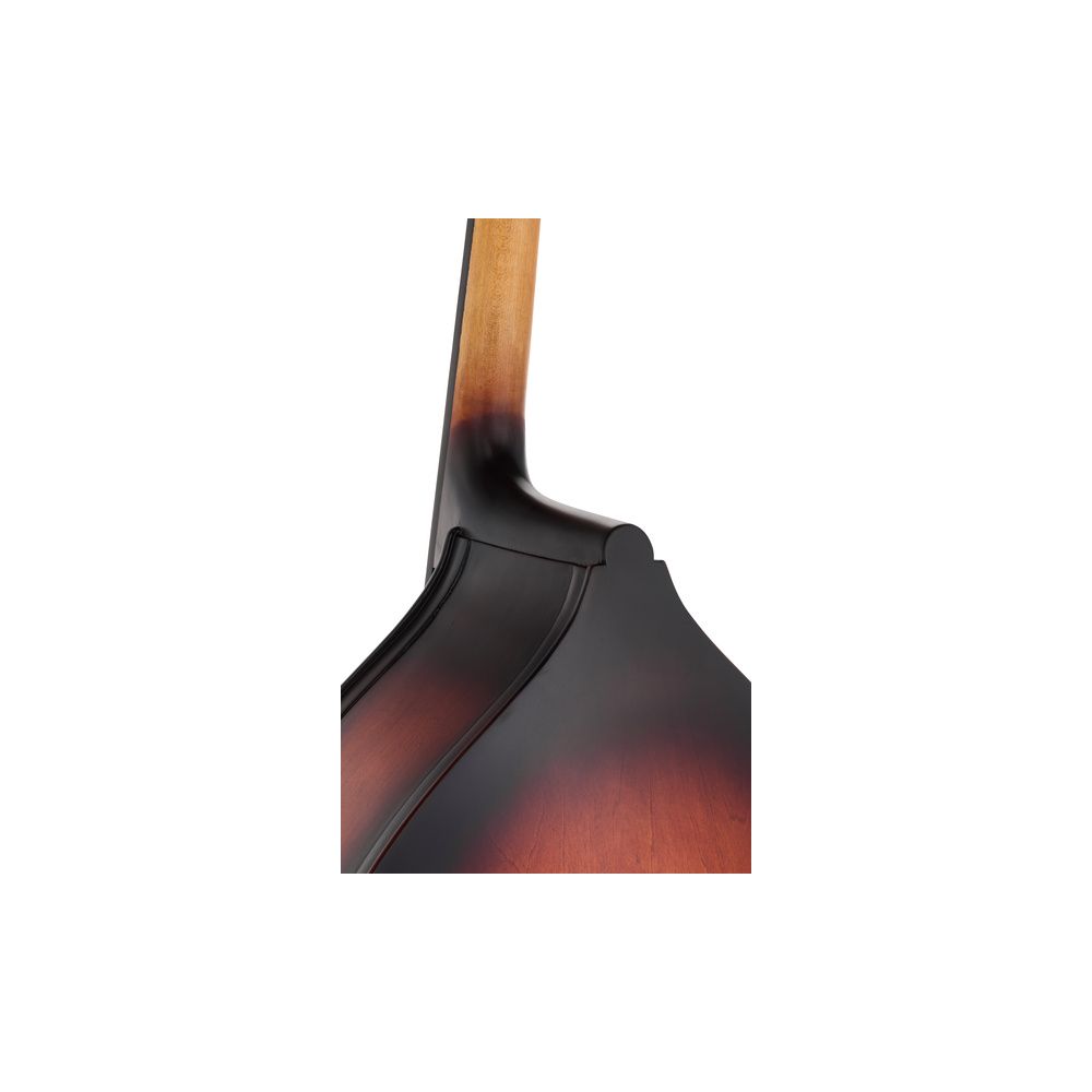 Thomann 111TS 3/4 Double Bass – Thomann Ireland