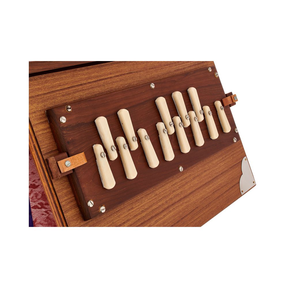 Thomann Nataraj Shruti C