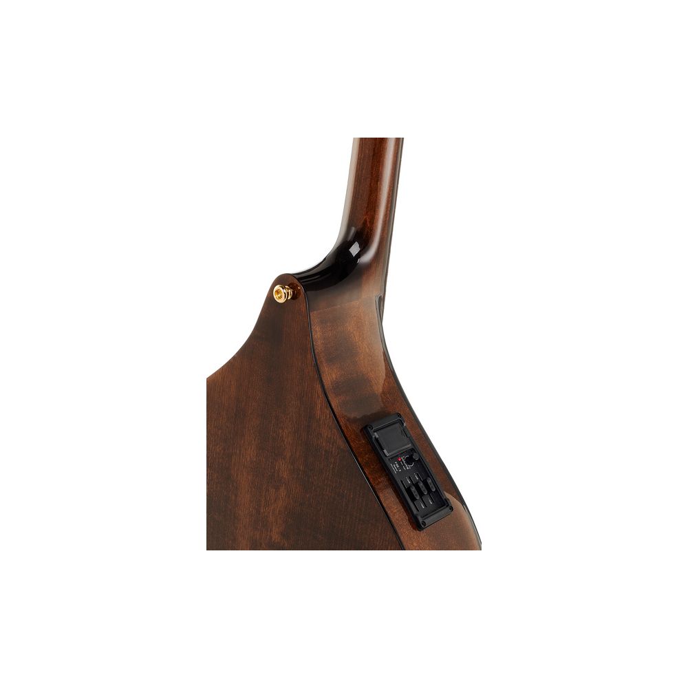 Thomann Irish Concert Bouzouki PU – Thomann Ireland