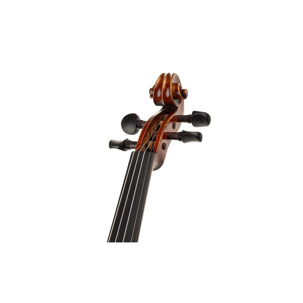 Gewa Maestro 2 Violin Set 4/4 OC CB – Thomann Ireland