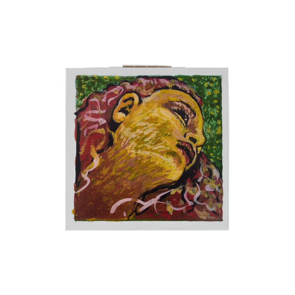 Pirastro Evah Pirazzi Neo Violin 4/4 – Thomann Ireland