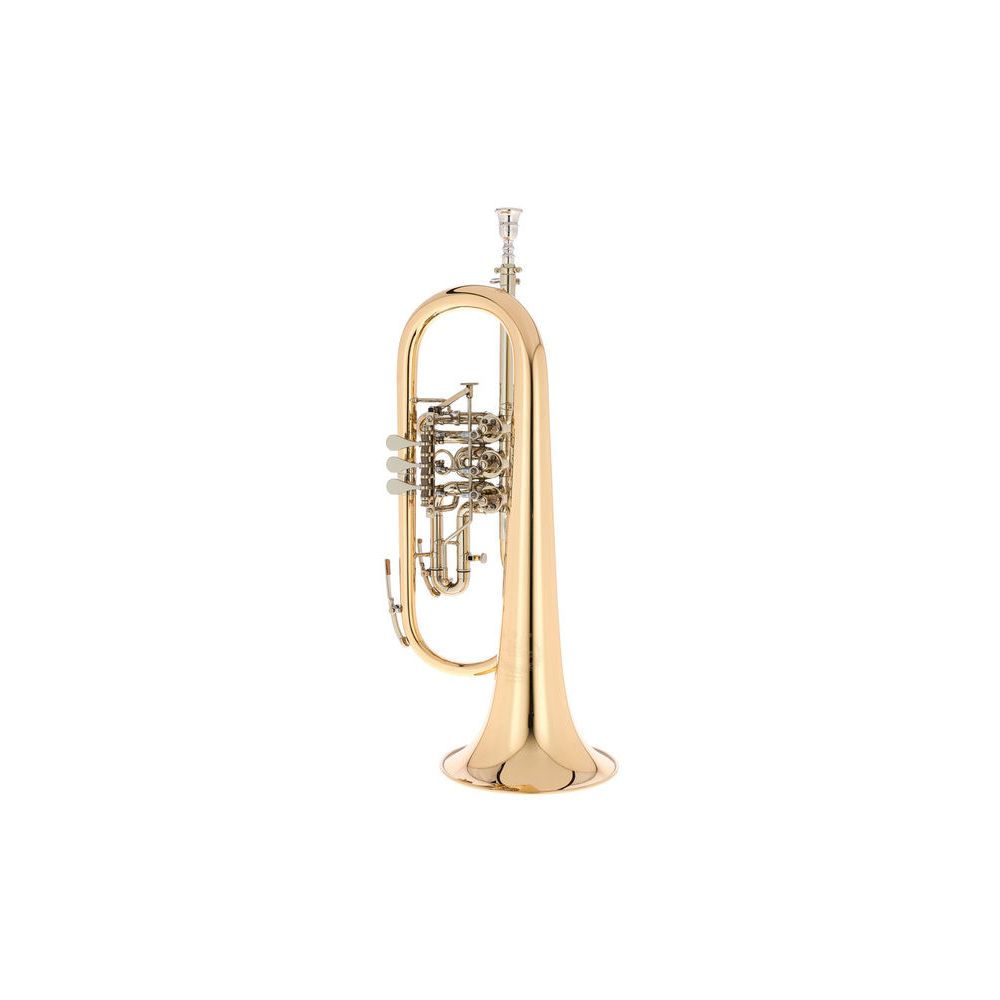 B&S 3017/2TR