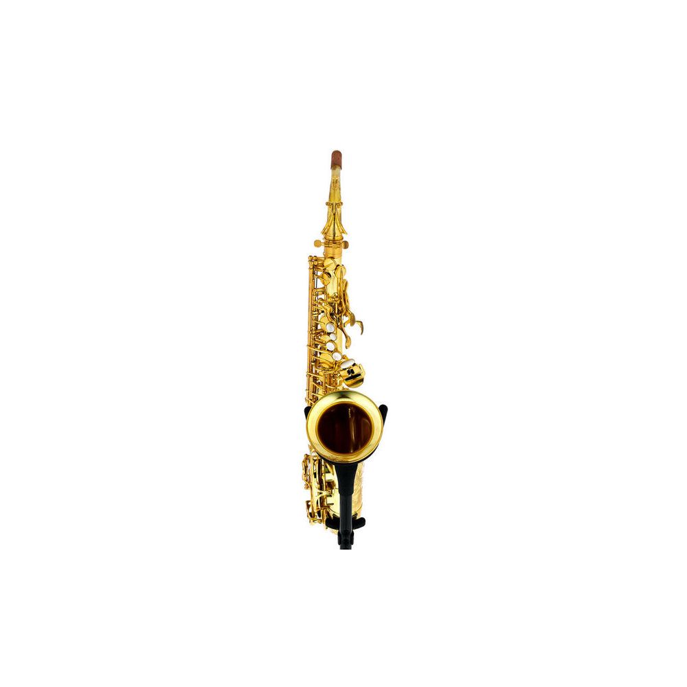Forestone RX Unlacquered Alto Sax – Thomann Ireland