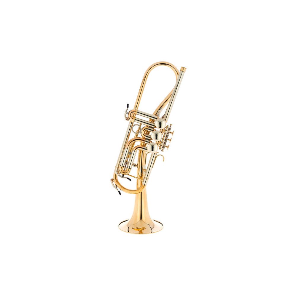 Schagerl Ganschhorn heavy UL – Thomann Ireland