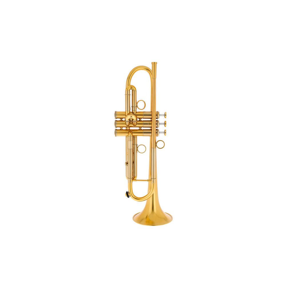 Adams A1 Brass 050 Selected V2 – Thomann Ireland