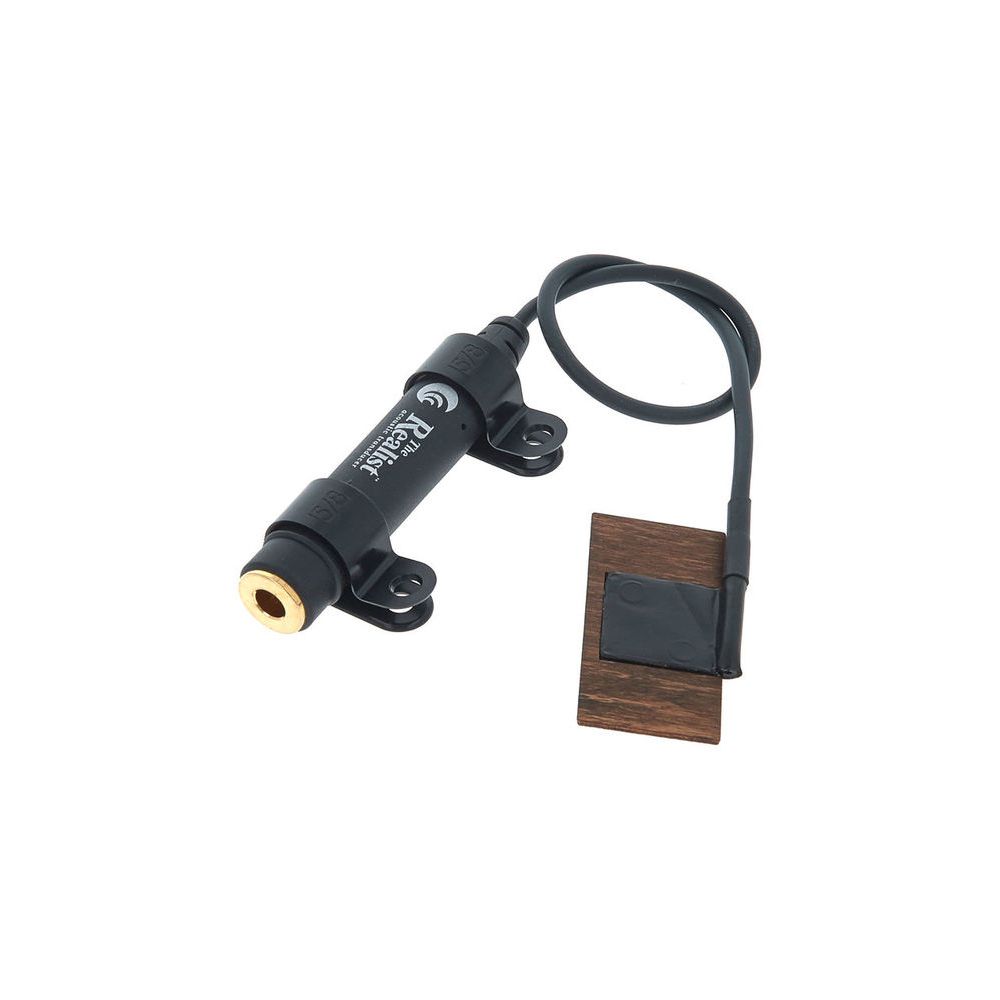 David Gage The Realist Bass Naturalist – Thomann Ireland