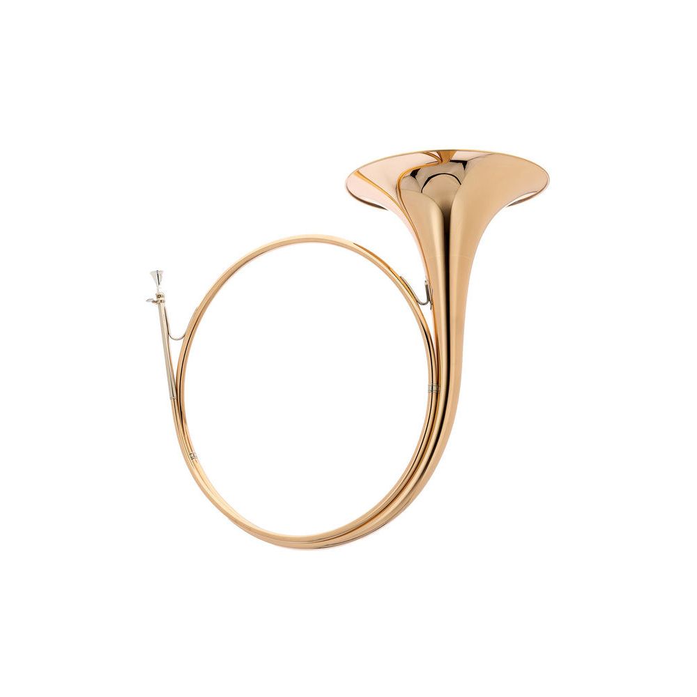 Dotzauer Parforce Horn in Bb 18220 – Thomann Ireland