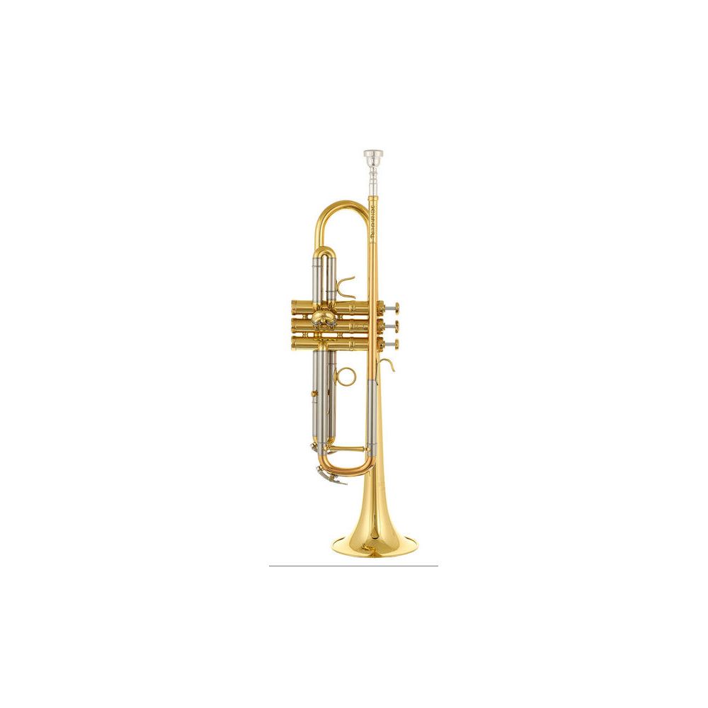Schagerl TR