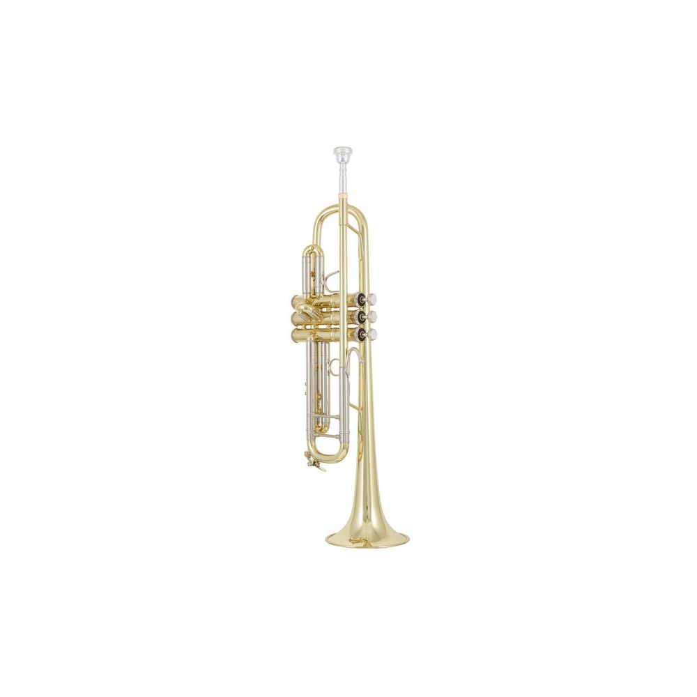 Bach 18043 Bb