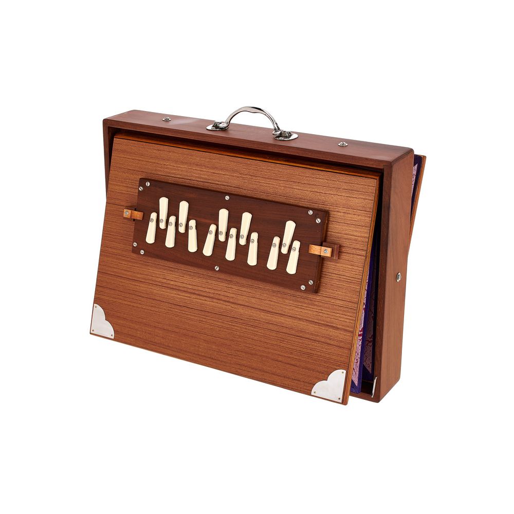 Thomann Nataraj Prof. Shruti Box G