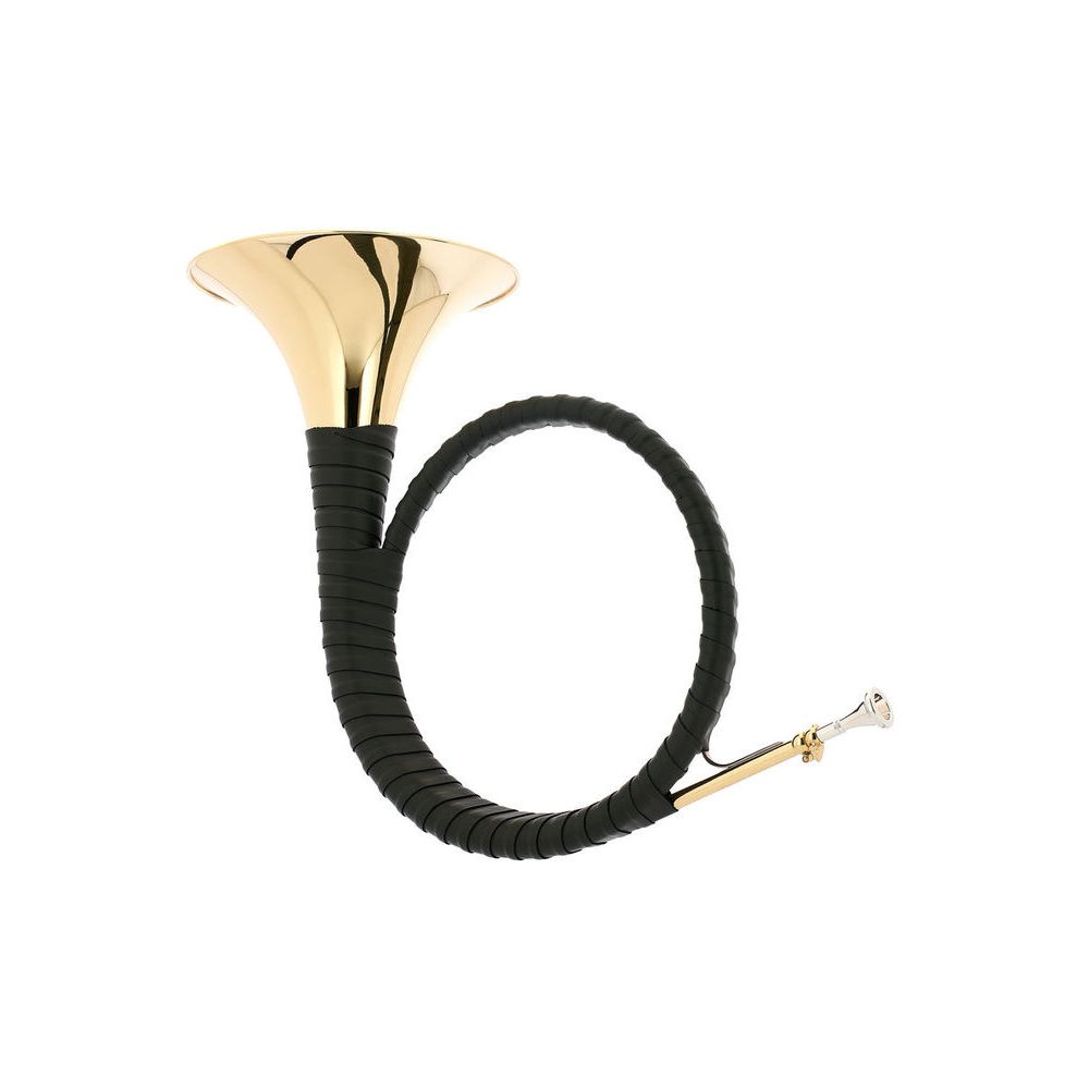 Dotzauer Parforce Horn in Bb 18315 – Thomann Ireland