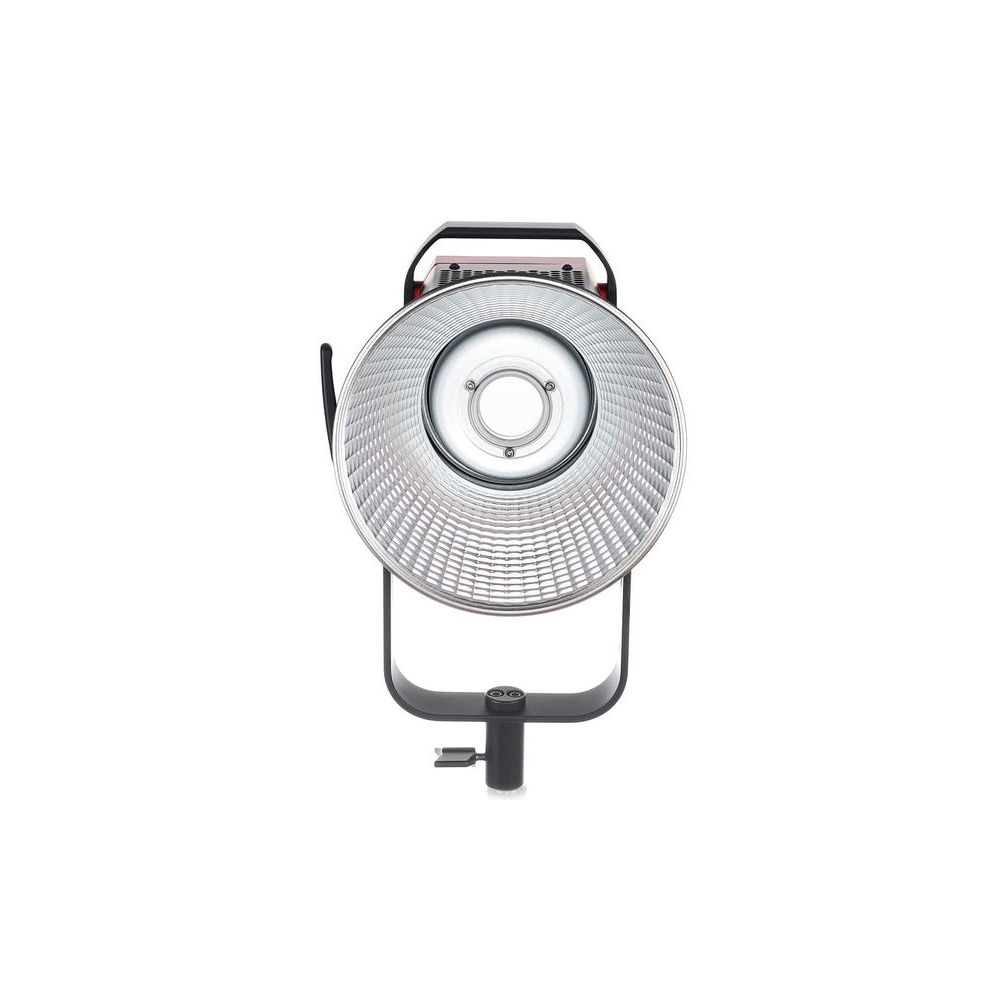 Aputure LS C300D MKII V