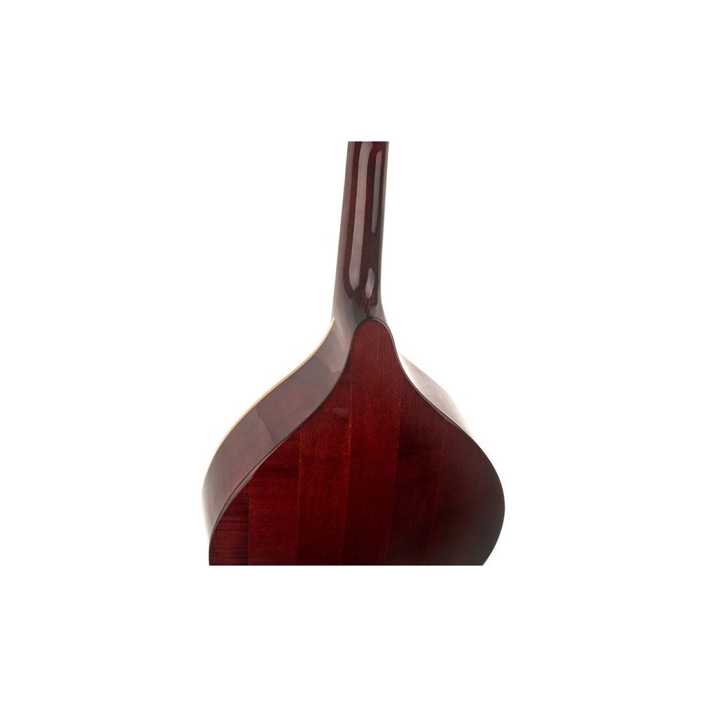 Thomann Portuguese Mandolin 1 – Thomann Ireland