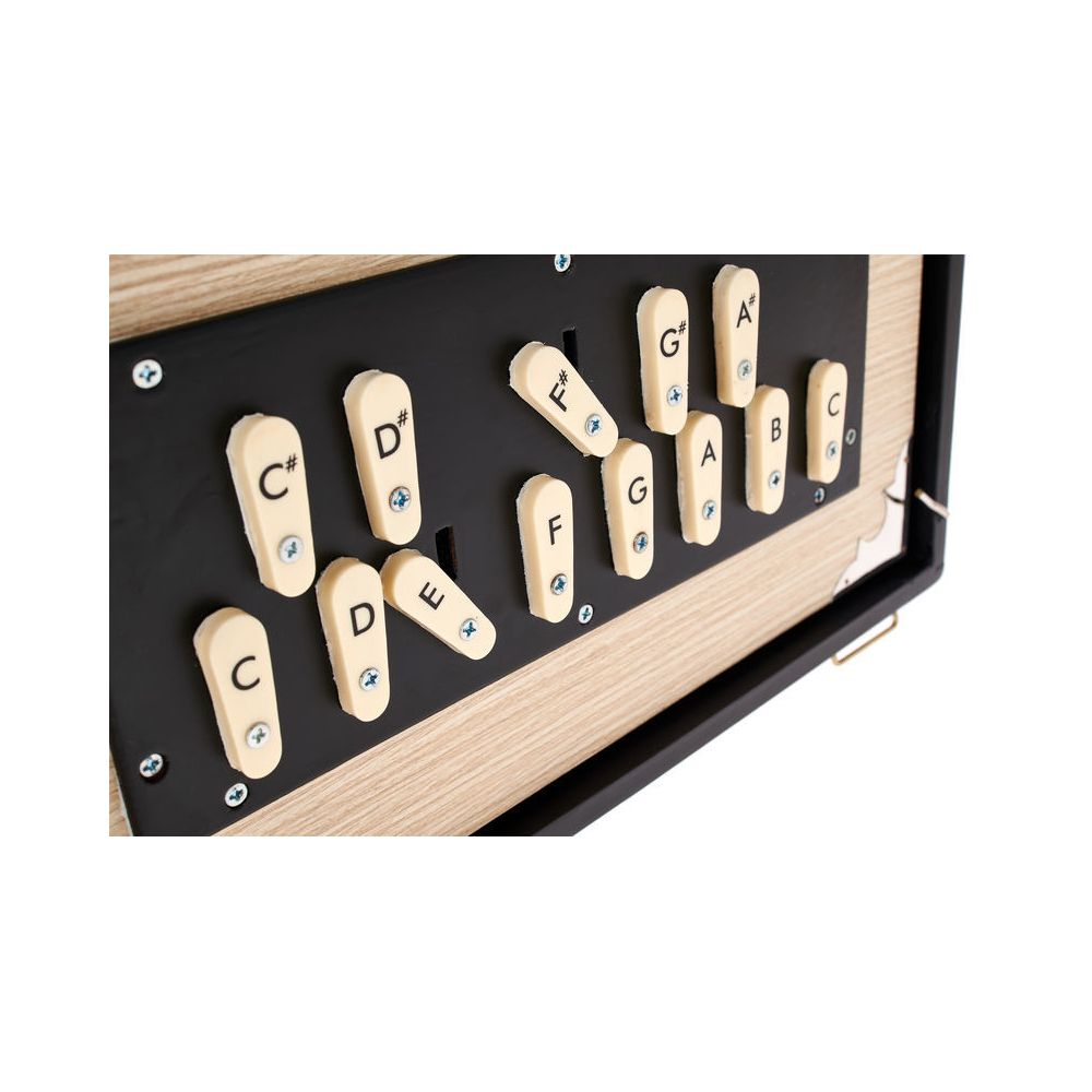 Thomann Nataraj Surpeti Shruti Box Mal – Thomann Ireland