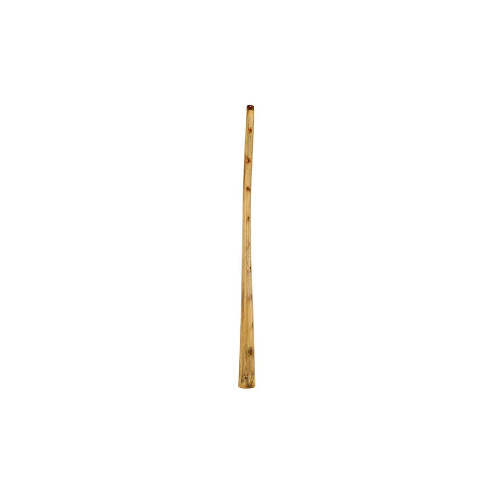 Thomann Didgeridoo Eucalyp. Proline C – Thomann Ireland