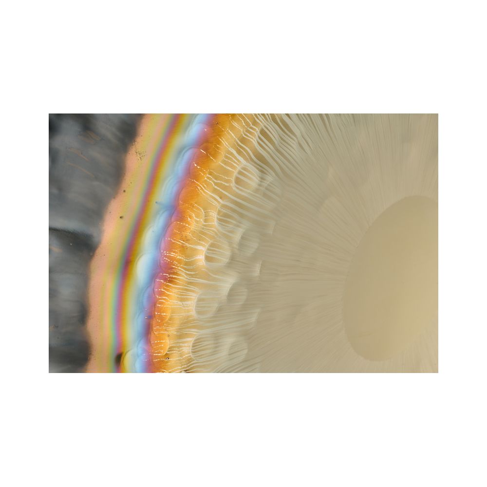 Thomann 28"/71cm Planet Gong Venus – Thomann Ireland