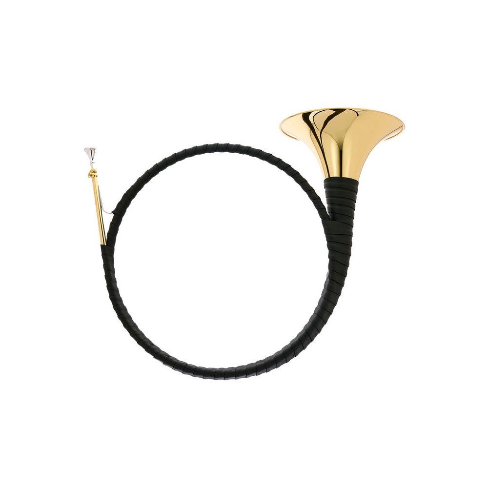 Dotzauer Parforce Horn in Bb 18215 – Thomann Ireland