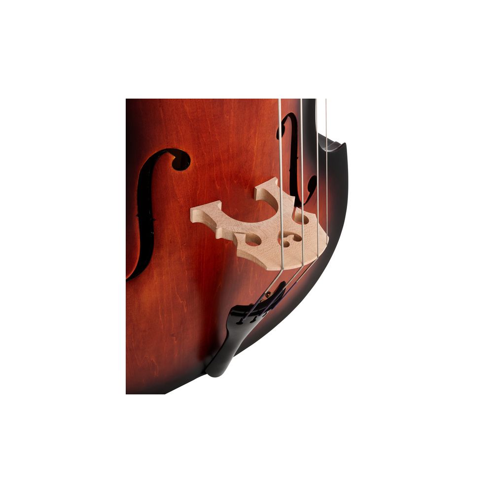 Thomann 111TS 3/4 Double Bass – Thomann Ireland