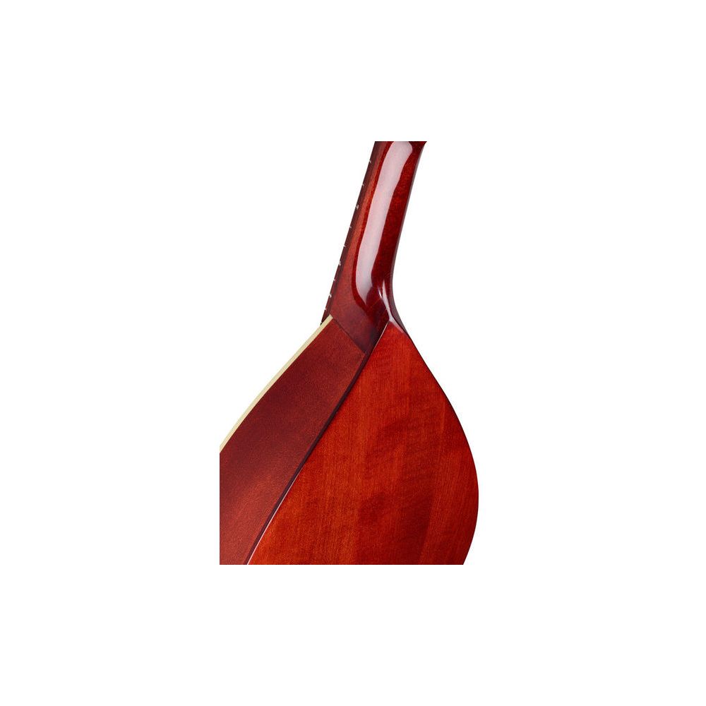 Thomann Portuguese Mandolin 2 – Thomann Ireland