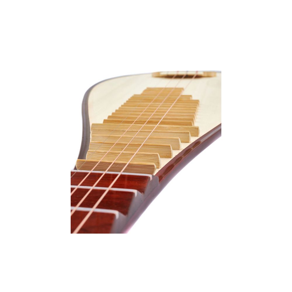 Thomann Chinese Pipa Standard – Thomann Ireland