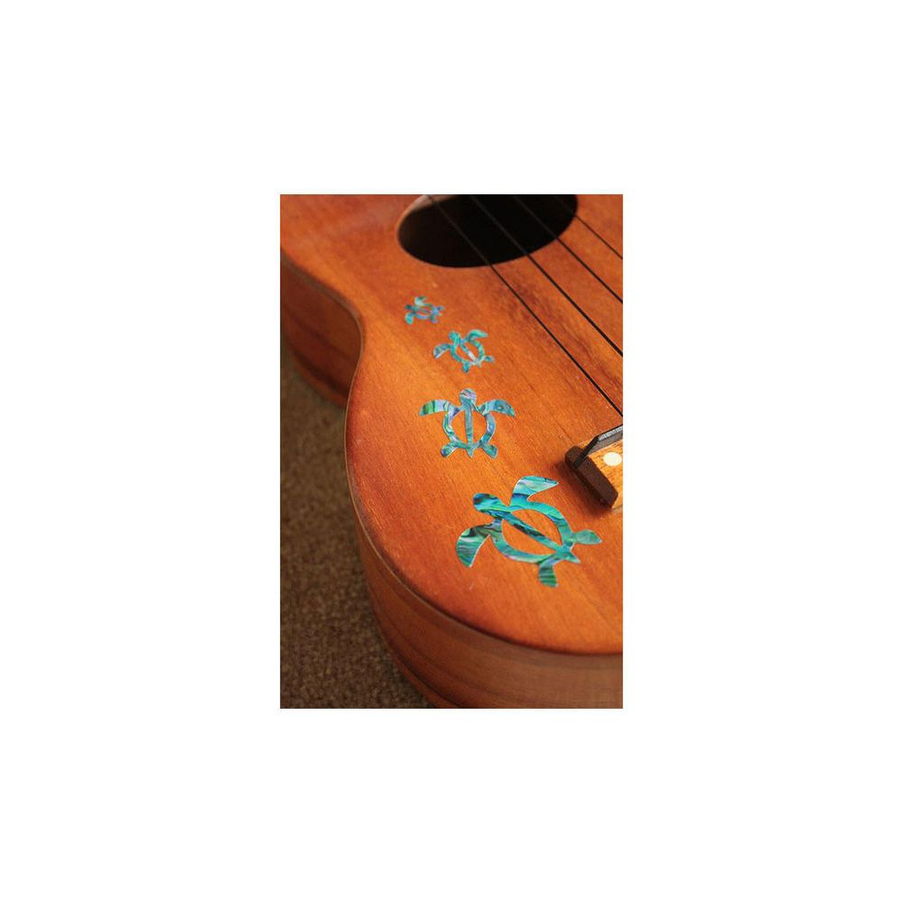 Jockomo Honu Family Sticker AB – Thomann Ireland