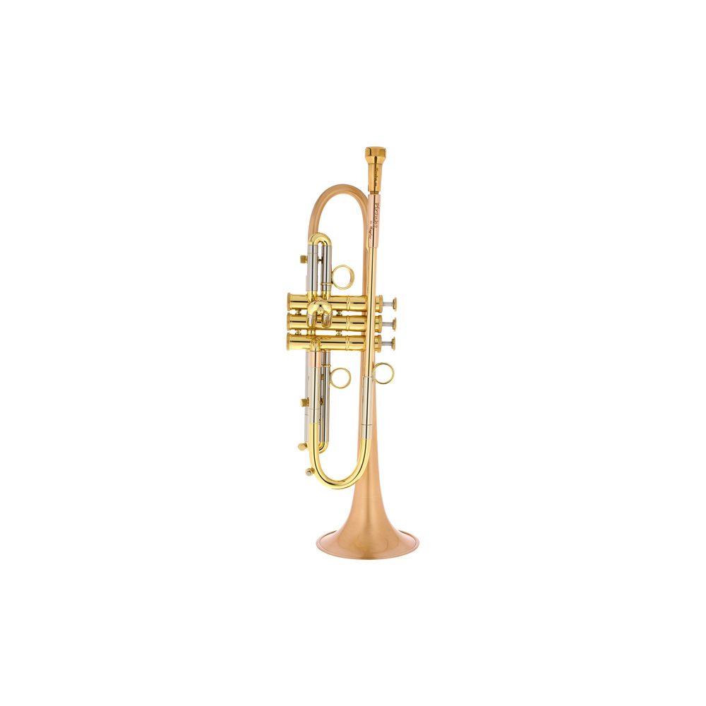 Taylor Trumpets Piranha Bb