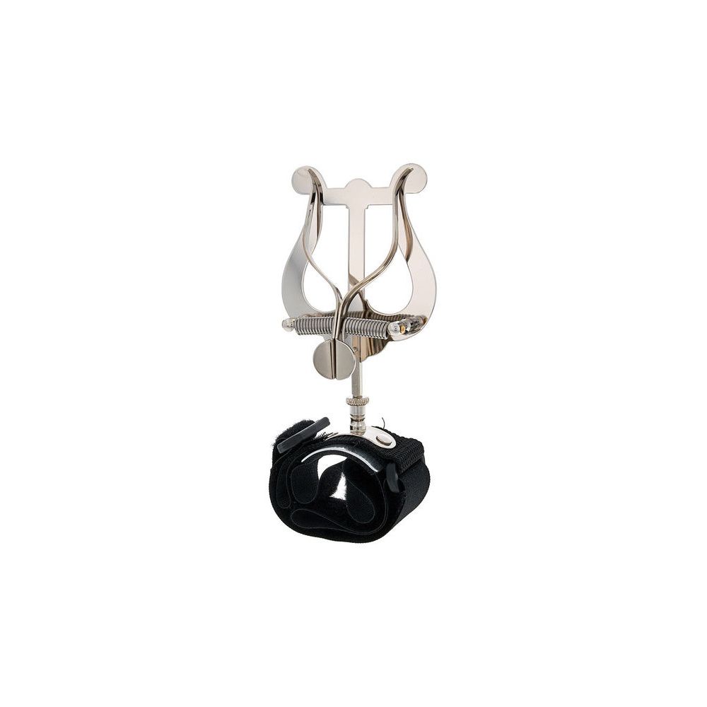 Riedl 965AH Lyre Alphorn – Thomann Ireland