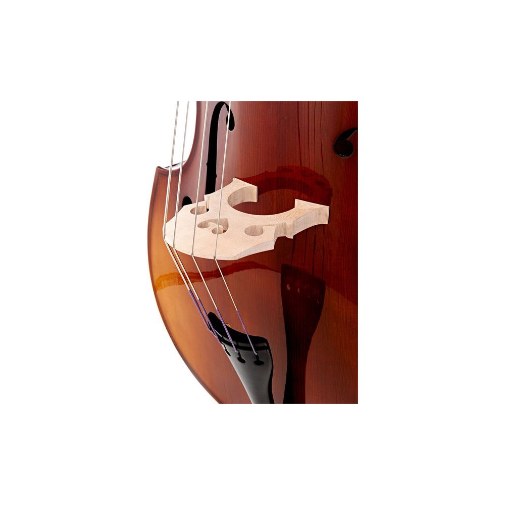 Thomann 33 3/4 Europe Double Bass – Thomann Ireland