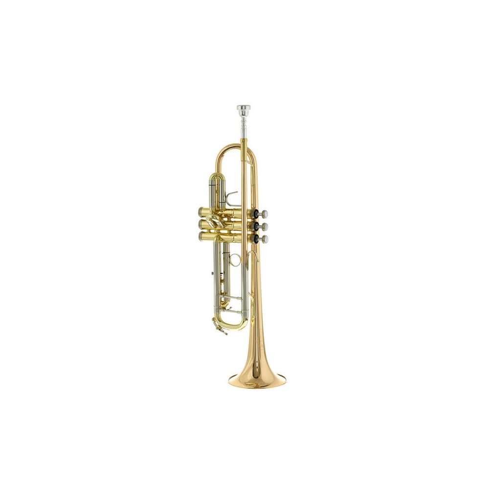 B&S 3143/2GLB