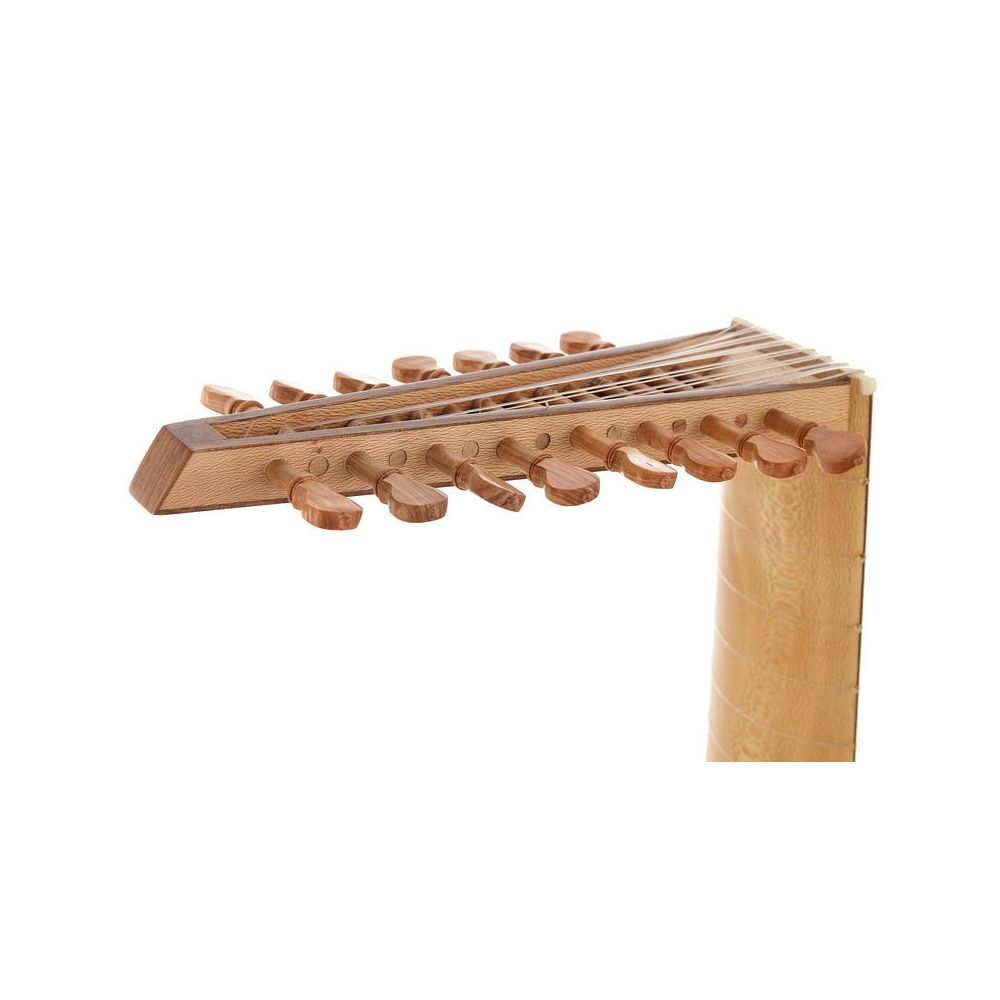 Thomann Renaissance Lute Deluxe 8C – Thomann Ireland