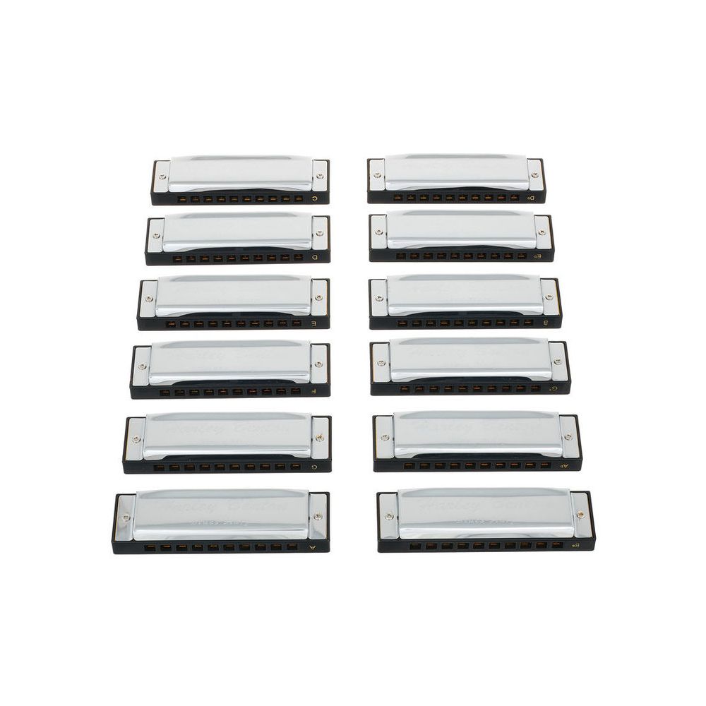 Harley Benton Blues Harmonica Set – Thomann Ireland
