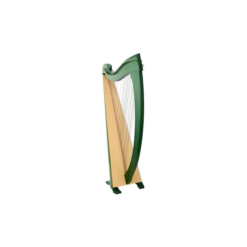 Salvi Una Green Silkgut – Thomann Ireland