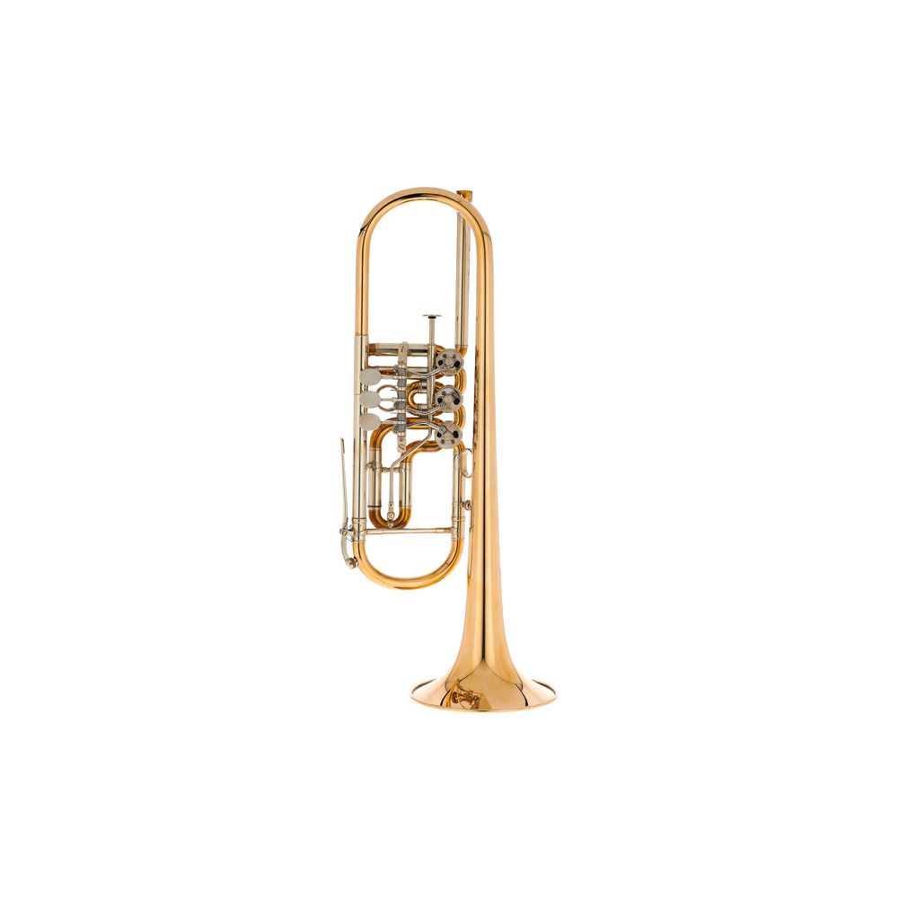 Gerd Dowids BZ Series GL 72 Bb