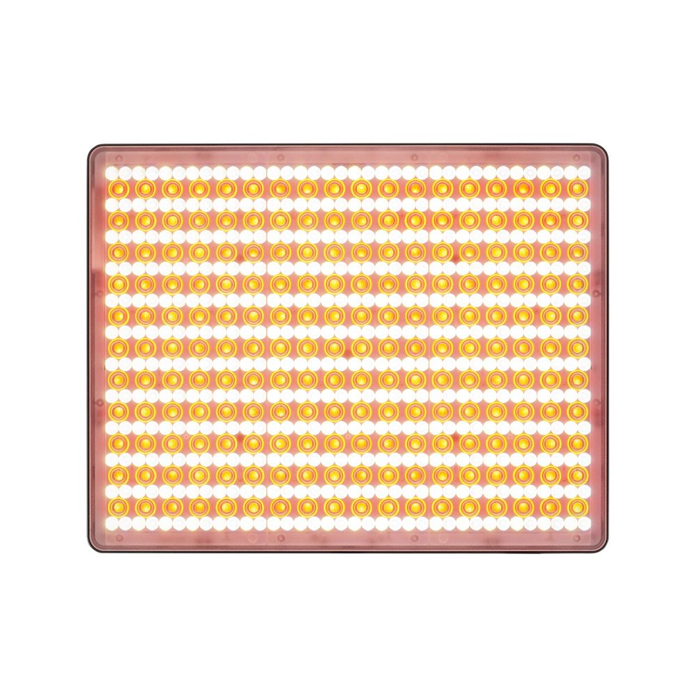 Amaran P60c – Thomann Ireland