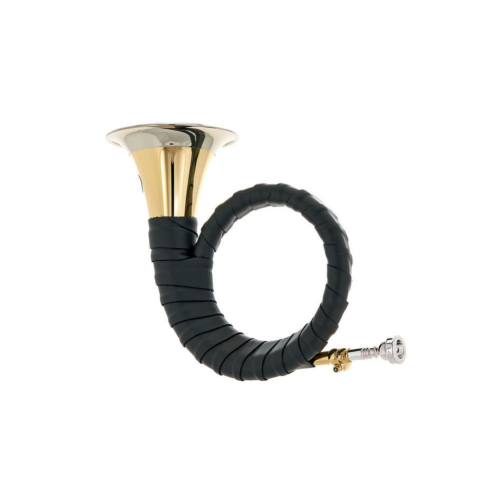 Dotzauer Fürst Pless in Bb 18815 L – Thomann Ireland