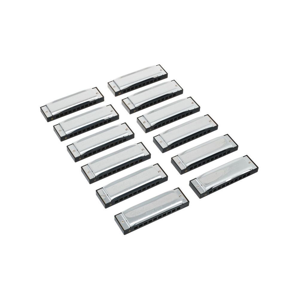 Harley Benton Blues Harmonica Set – Thomann Ireland