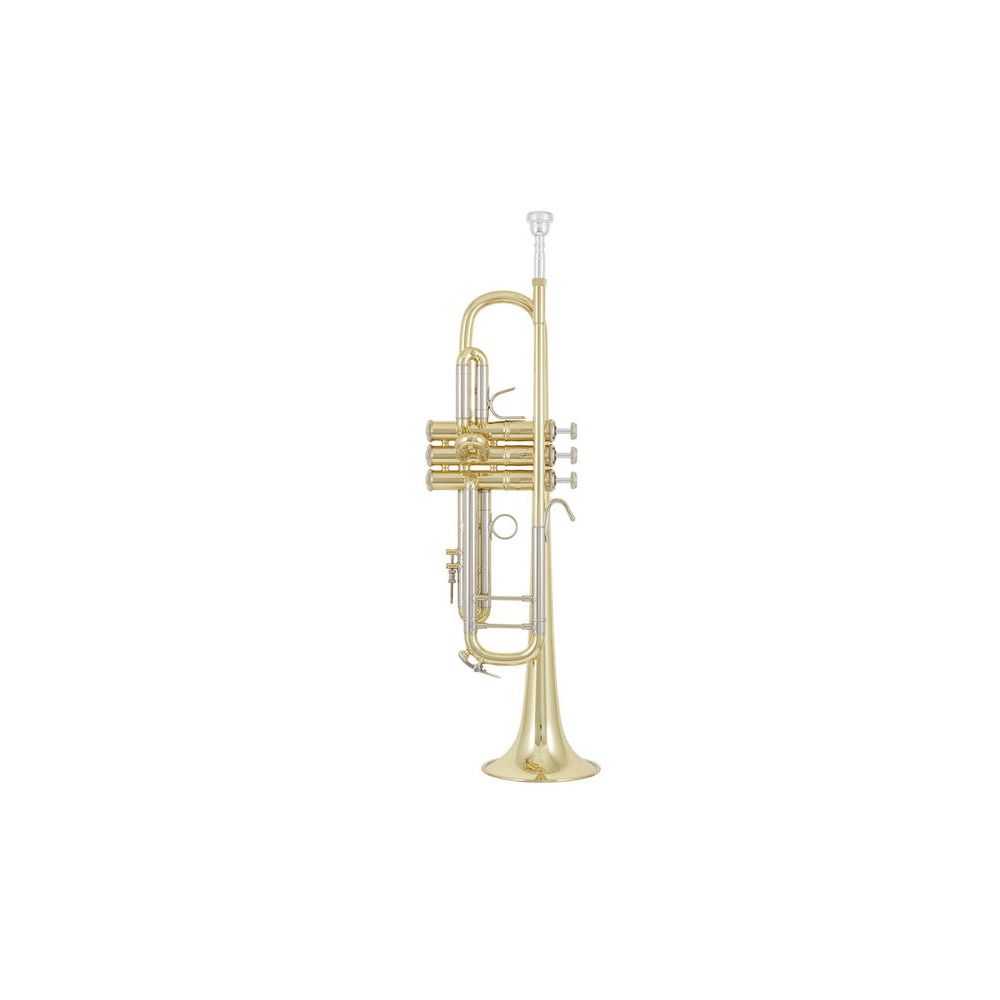 Bach 18043 Bb