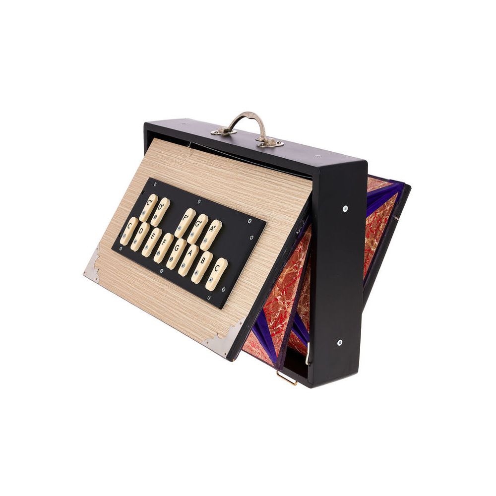 Thomann Nataraj Surpeti Shruti Box Mal – Thomann Ireland