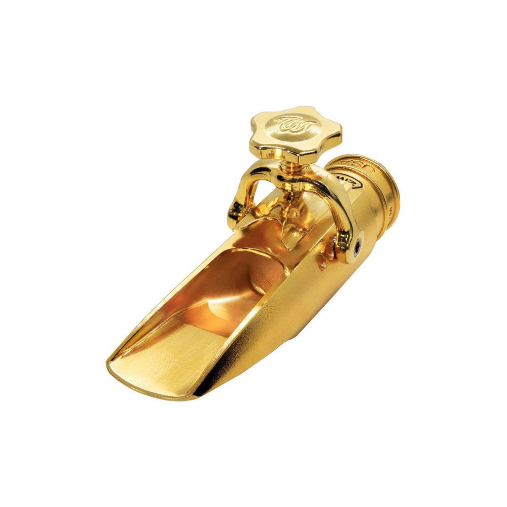 Theo Wanne Durga V Alto 6 Gold – Thomann Ireland